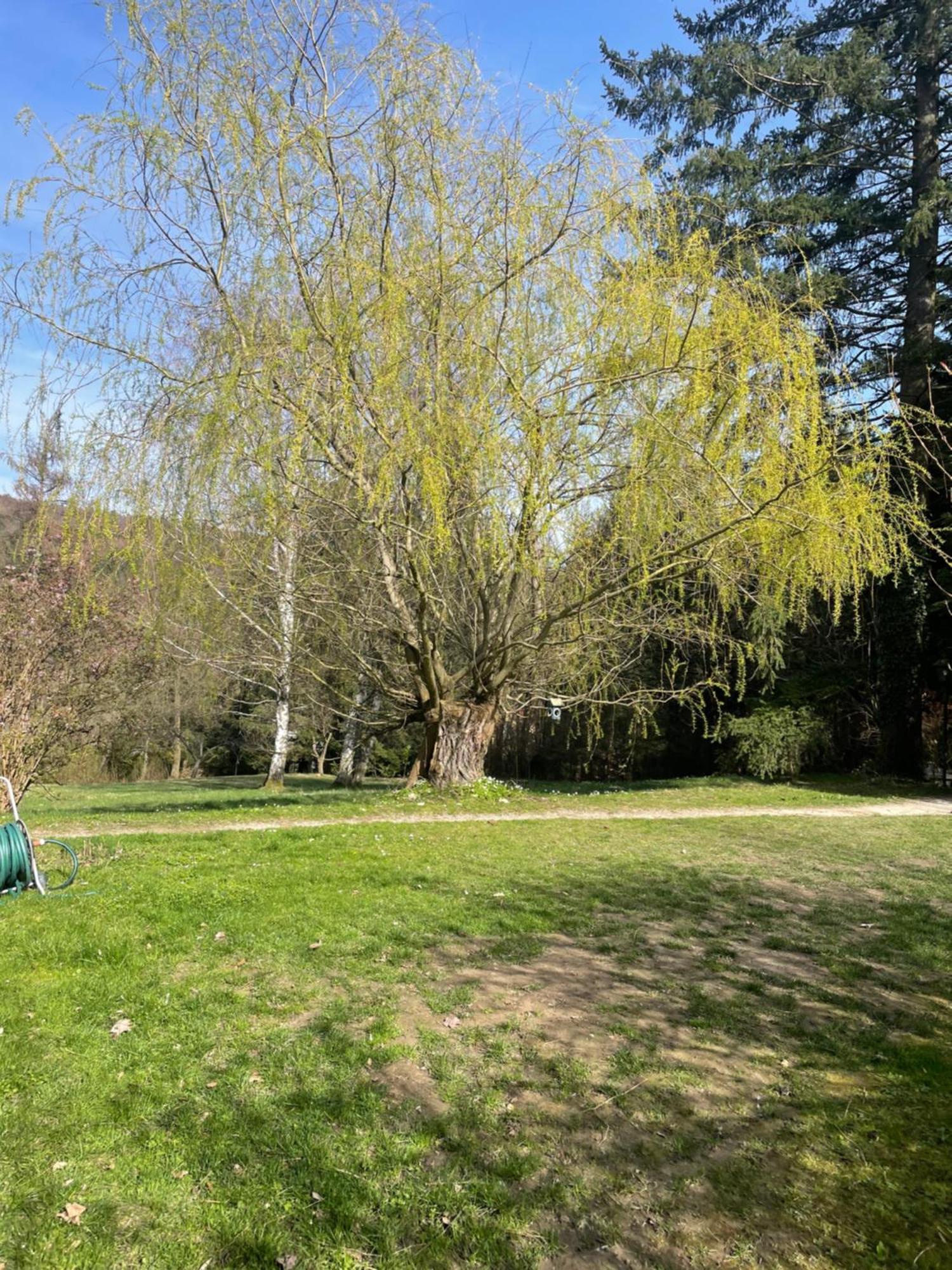 Bed&Breakfast Im Gruenen Nah An Wien Brettwies Экстерьер фото